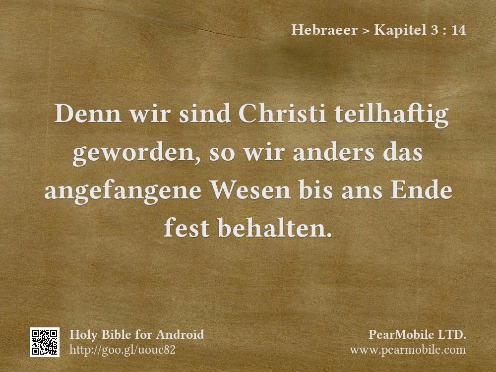 Hebraeer, Kapitel 3:14